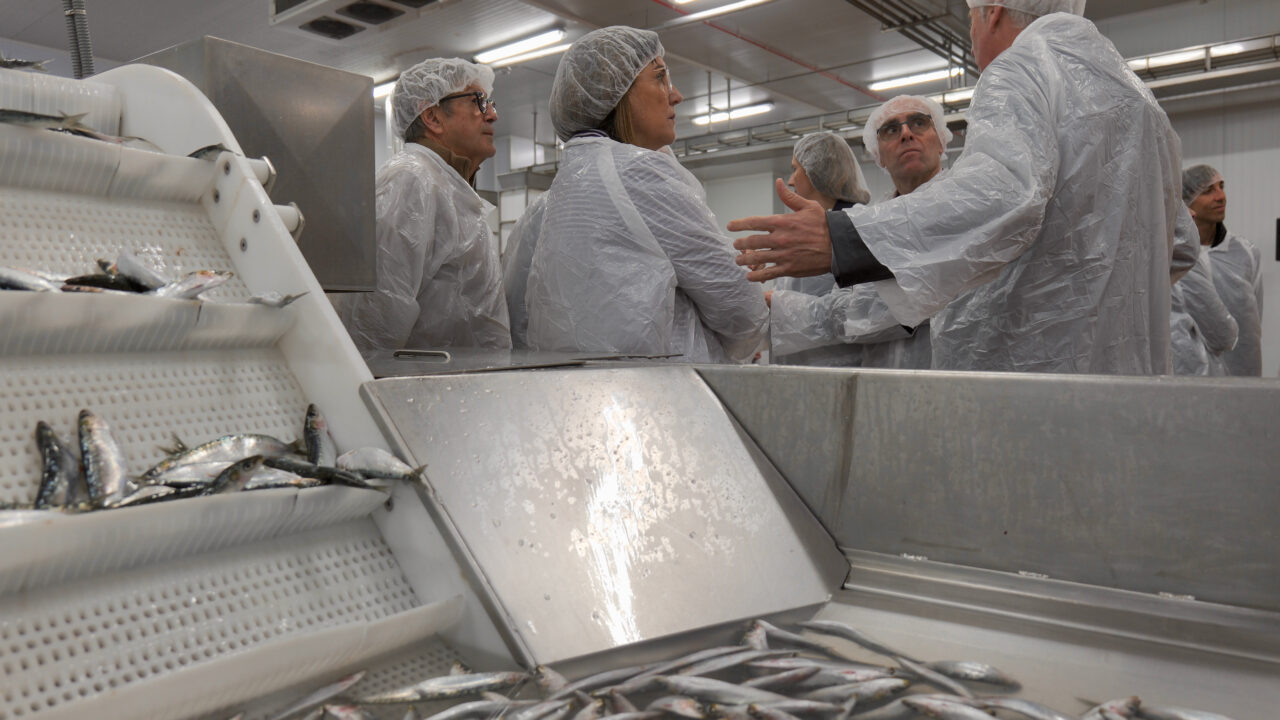 3 millones de euros para fomentar la pesca gracias a Gobierno Vasco y Cofradías de Bizkaia y Gipuzkoa