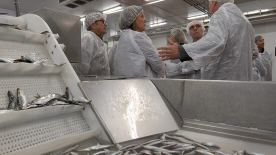 3 millones de euros para fomentar la pesca gracias a Gobierno Vasco y Cofradías de Bizkaia y Gipuzkoa