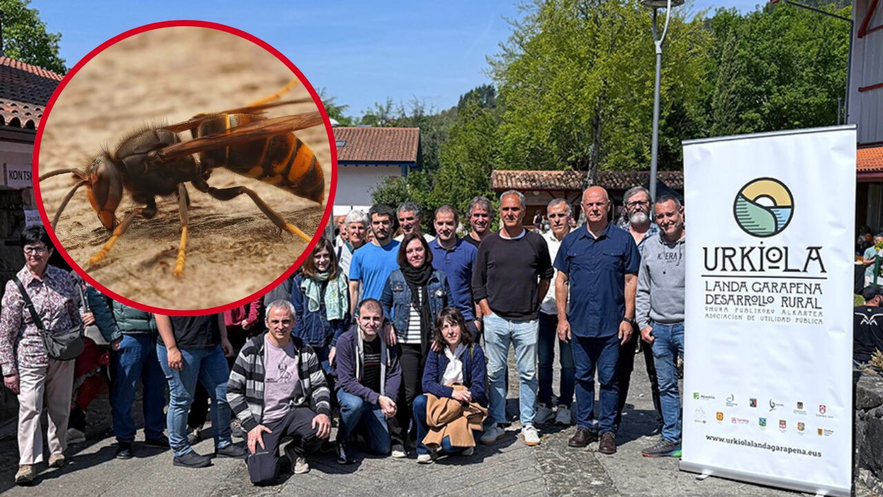 La avispa asiática se cuela en pueblos y ciudades de Durangaldea y dispara la preocupación vecinal