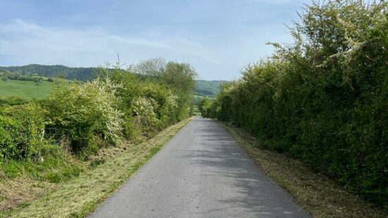 Orduña activa la puesta a punto del campo: arranca el desbroce de primavera en los caminos rurales