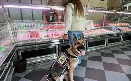 Los perros guía reclaman su derecho de acceso a los establecimientos de alimentación en Euskadi