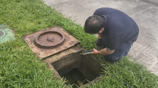 La Mancomunidad responde a las quejas por cucarachas en Aranguren: «Atendemos a todos, pero no podemos actuar en interiores»