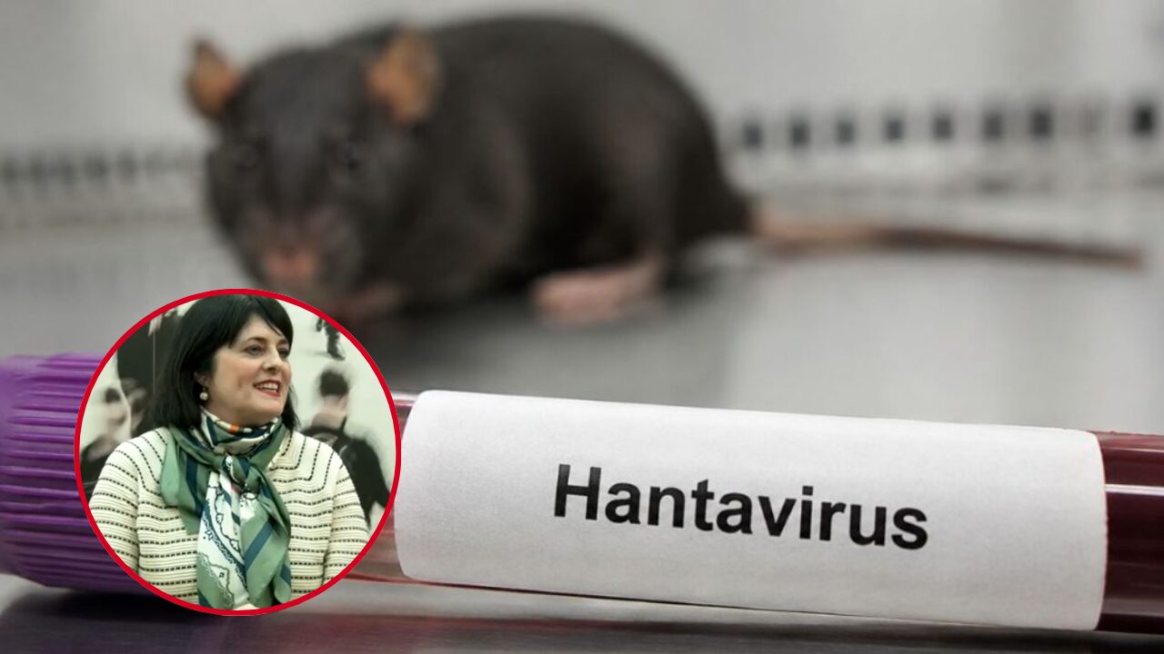 Amaia Sánchez, psicóloga: “El problema no es el miedo al hantavirus, es vivir en alerta constante”