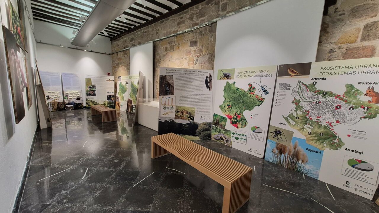 El Centro Municipal de la Bolsa acoge la exposición ‘Biodiversidad oculta de Bilbao’