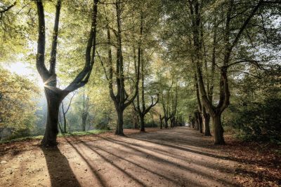 Getxo busca sombra e ideas para diseñar sus futuros refugios climáticos