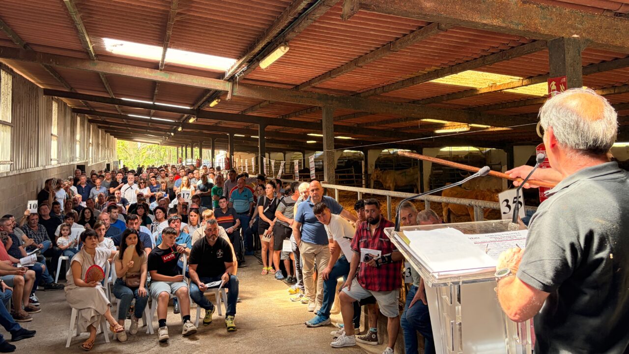 Bizkaia subasta 35 animales autóctonos para reforzar la mejora genética de las razas pirenaica y pottoka