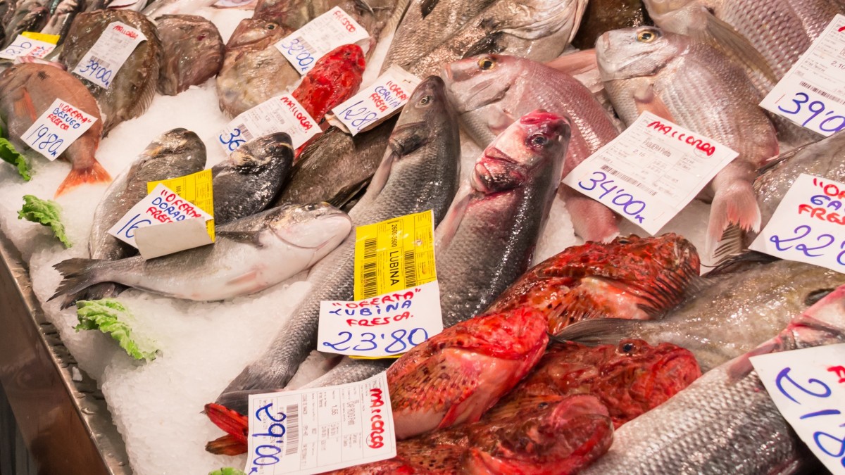 La OCU lo advierte: el pescado envasado en los supermercados tiene un sobrecoste respecto al fresco