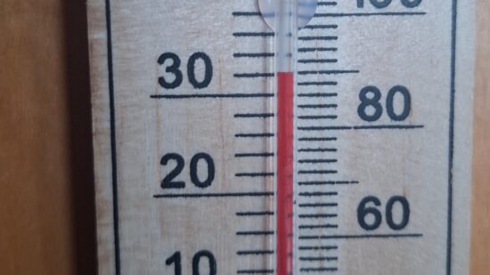 Educación reduce horarios en colegios de Bizkaia por el calor y acelera la instalación de toldos
