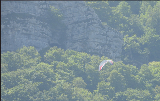 Ekologistak Martxan denuncia vuelos de parapente cerca de nidos de alimoche en Gorbeia