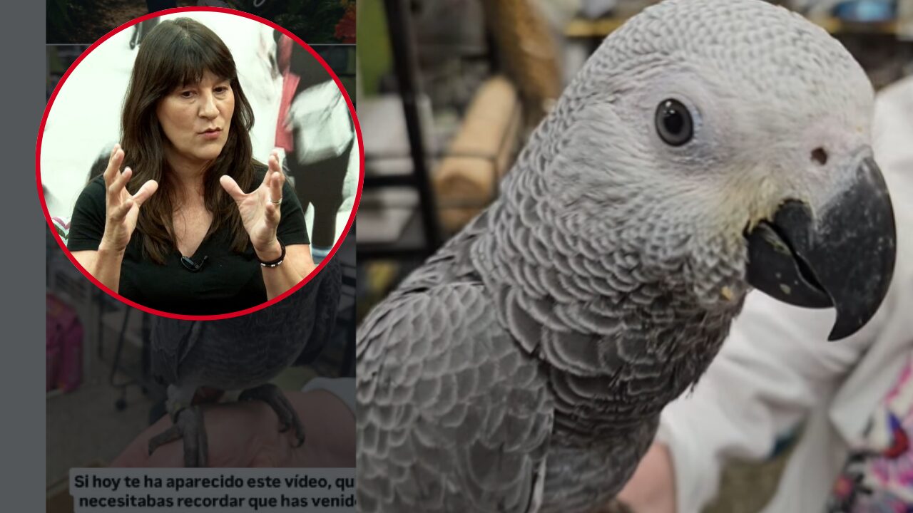 La vizcaína que revoluciona las redes con los loros: “También lloran y sufren porque los ignoramos”