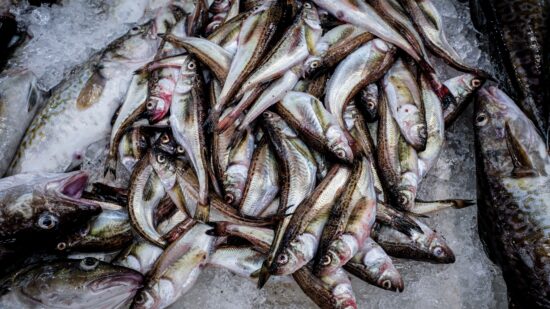 Euskadi lidera el consumo de pescado en España, pero los jóvenes cada vez lo comen menos