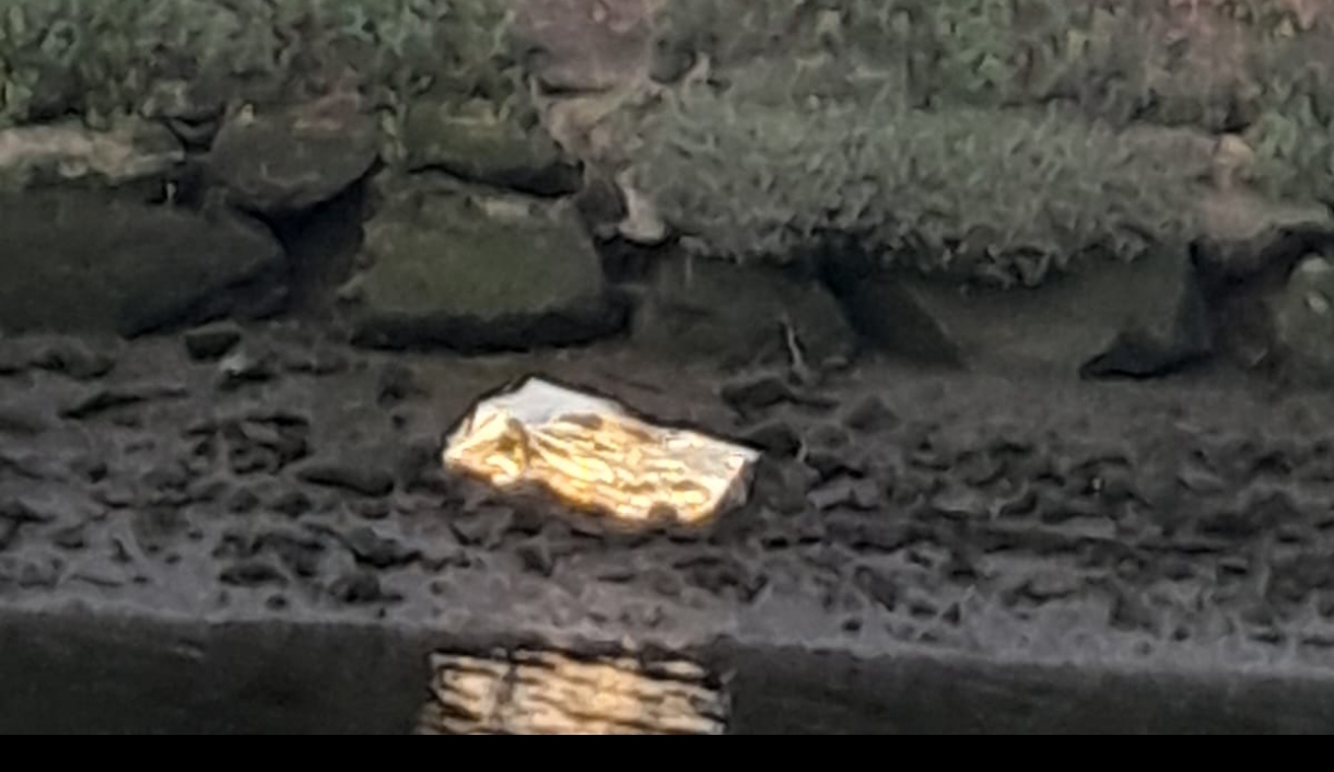 Aparece el cadáver de un hombre en las marismas de Galindo, en Sestao