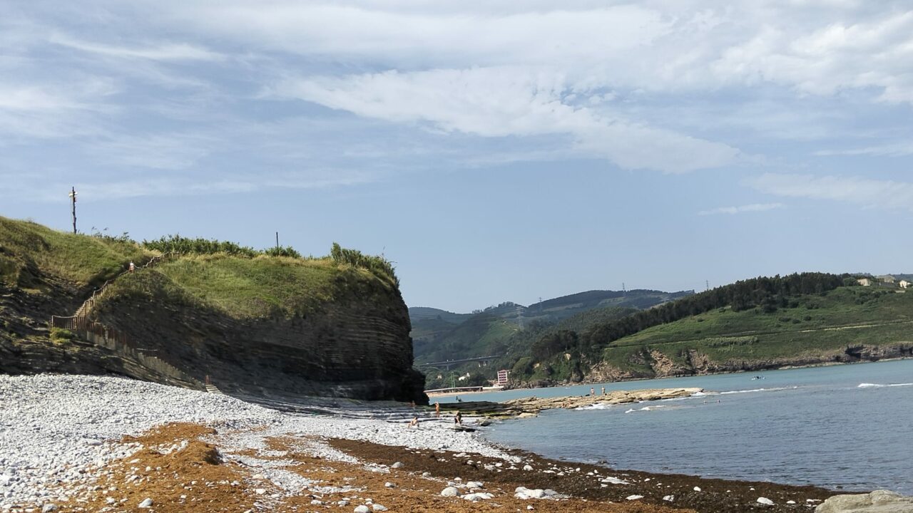 El alga invasora japonesa ya está en la costa de Bizkaia