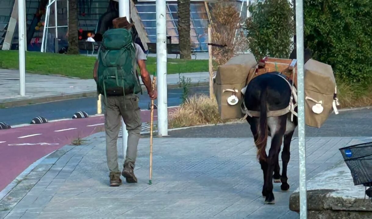 El misterio del burro de Bilbao ya tiene explicación: acompaña a un peregrino francés en el Camino de Santiago
