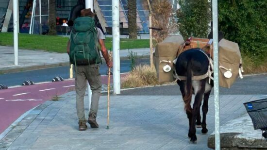 Solucionado el misterio del burro de Bilbao