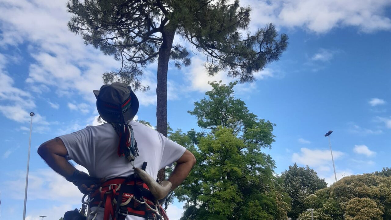 Un activista se sube a un árbol en el parque Artaza para protestar contra el túnel subfluvial de Lamiako