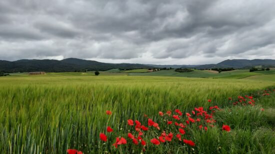 El tiempo en Euskadi: el calor vuelve con fuerza este fin de semana y Bilbao alcanzará los 33 grados