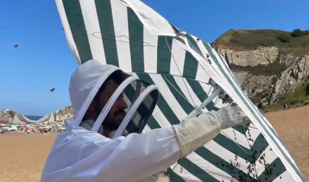 Un enjambre de abejas obliga a intervenir a los bomberos en la playa de Sopela