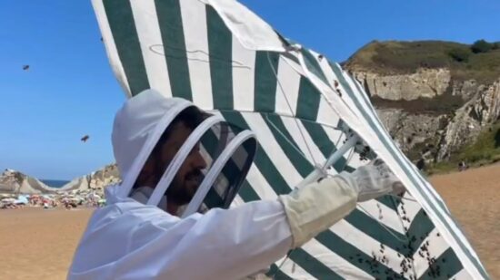 Un enjambre de abejas obliga a intervenir a los bomberos en la playa de Sopela
