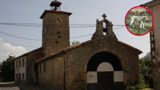 Jose, dueño del mastín que atacó a un pastor vasco en Villasante: «Si la dueña tuviera miedo no se metería en medio del rebaño»
