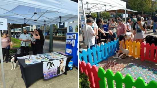 Fashion Outlet celebra el Día del Perro el 21 de julio con adopción responsable, talleres y actividades para disfrutar con mascotas