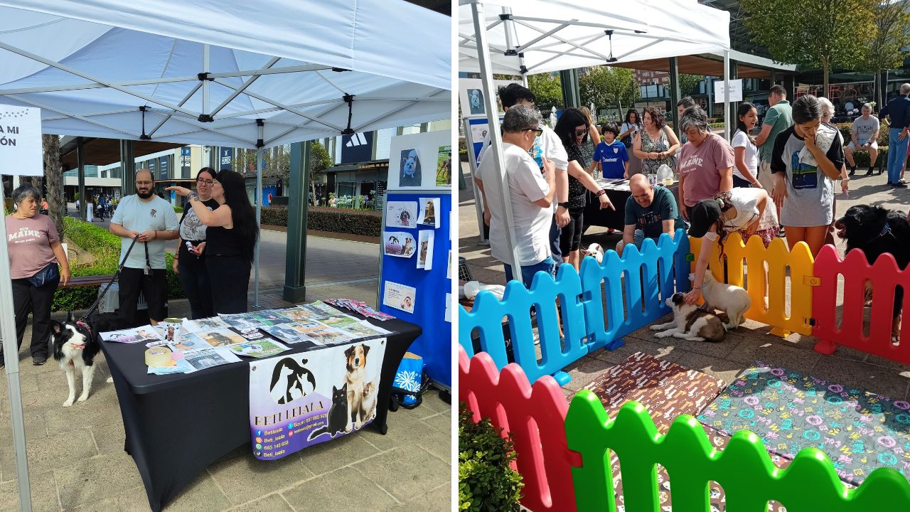 Fashion Outlet celebra el Día del Perro el 21 de julio con adopción responsable, talleres y actividades para disfrutar con mascotas