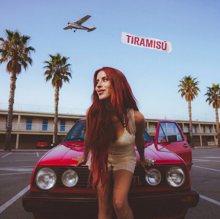 Vicco – Tiramisú
