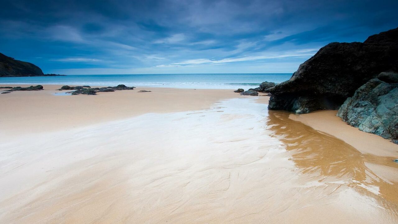 Cuatro playas cerradas al baño y de nuevo presencia de medusas en Bizkaia