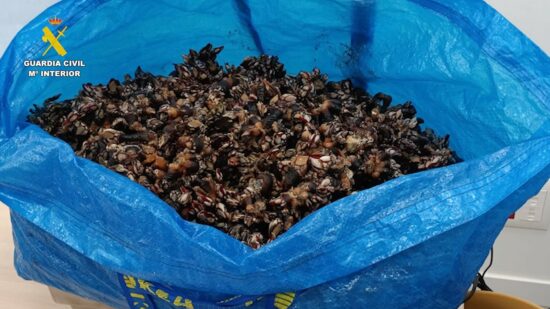 La Guardia Civil investiga a un hombre por recolectar más de 16 kilos de percebe en plena veda en Bizkaia