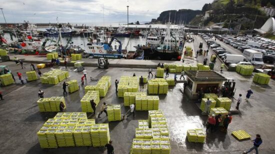 La flota vasca roza el pleno en la campaña de la anchoa y lidera el arranque de la costera del bonito
