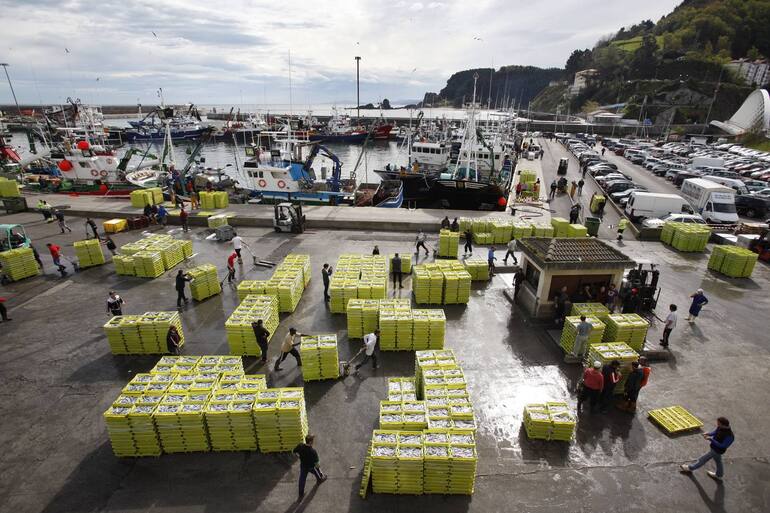 La flota vasca roza el pleno en la campaña de la anchoa y lidera el arranque de la costera del bonito