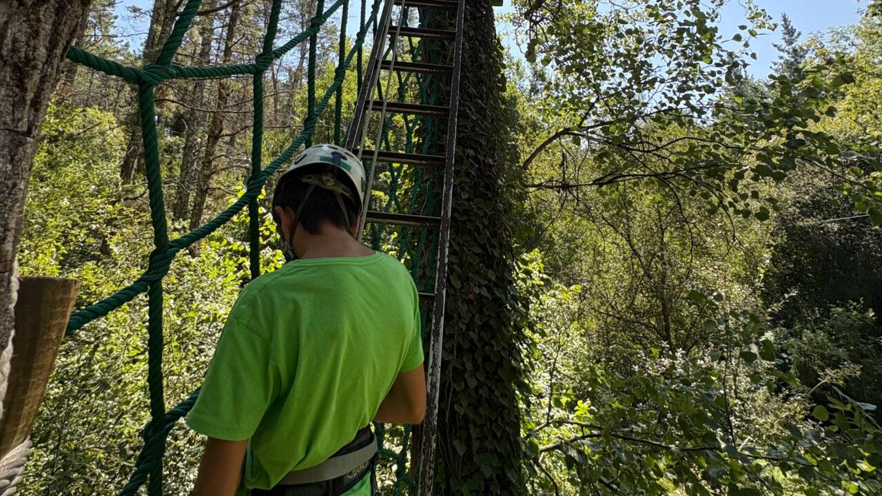 Cerca de 800 niñas y niños disfrutan de la nueva edición de UDA