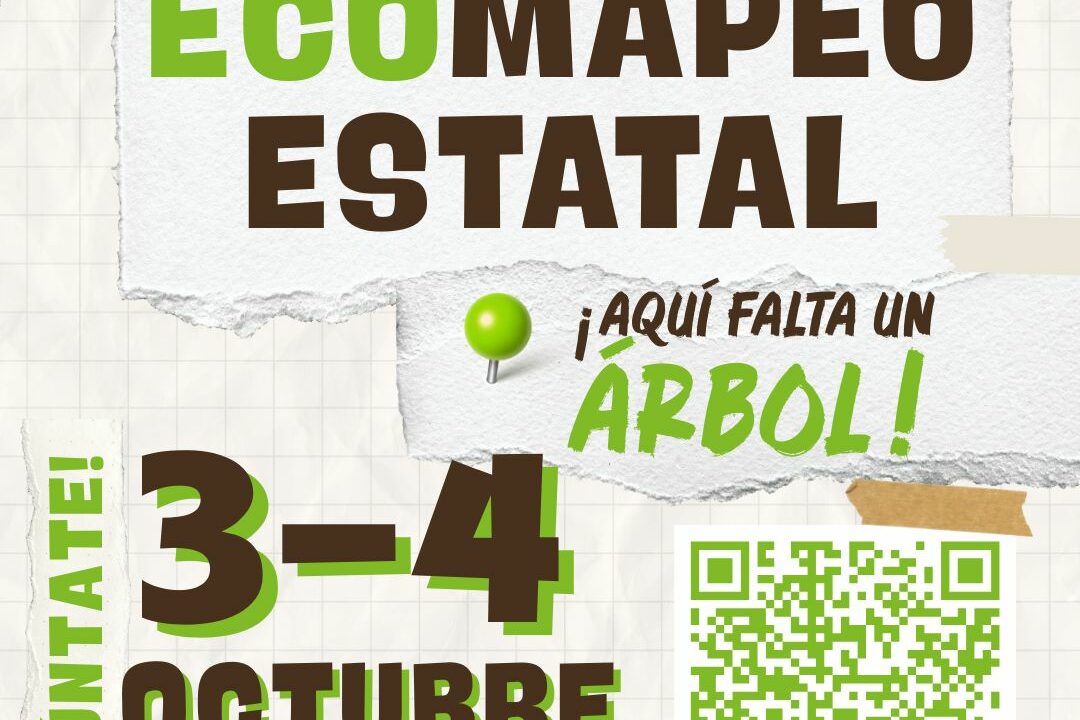 “Aquí falta un árbol”: los vecinos se movilizan para reclamar más zonas verdes en las ciudades vascas