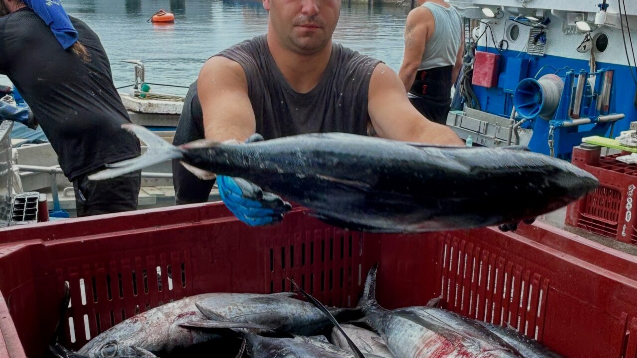 El calor cambia la ruta del bonito y complica la campaña de pesca en Euskadi