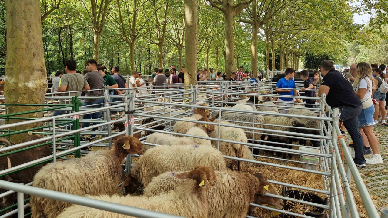 Galdames recibe la III Feria de ganado local en el parque Atxuriaga