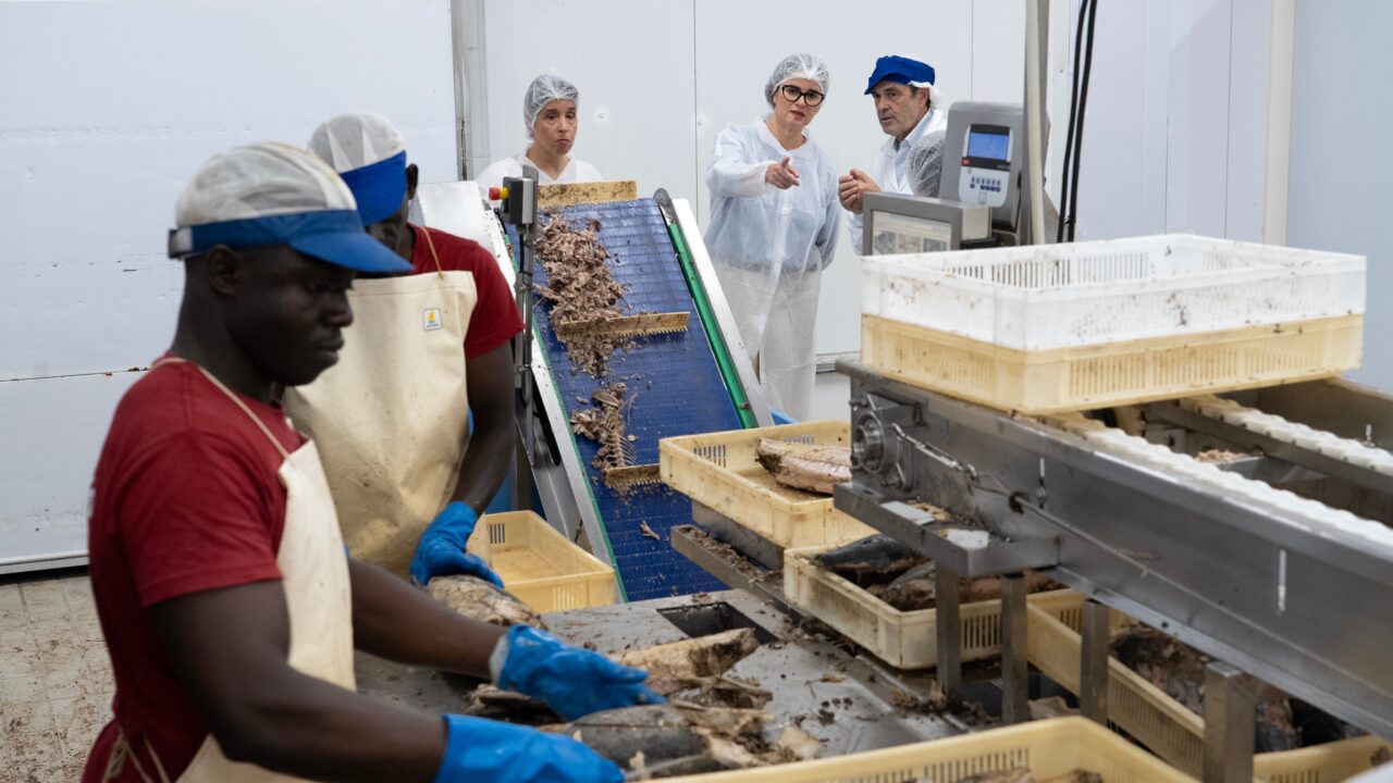 Bermeo, la potencia vasca del atún que conquista los océanos desde Bizkaia