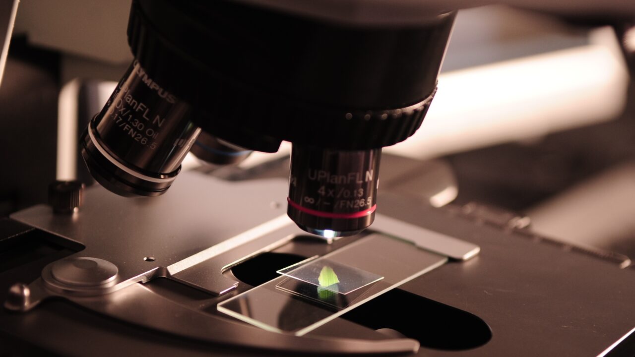 Euskadi ofrece 190 becas de hasta 2.000 euros para universitarios que quieran iniciarse en la investigación