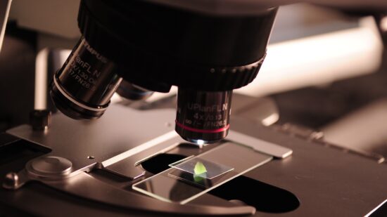 Euskadi ofrece 190 becas de hasta 2.000 euros para universitarios que quieran iniciarse en la investigación