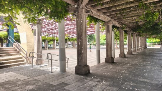 Zazpi busca 30.000 euros para convertirse en la primera Fundación Comunitaria de Euskadi