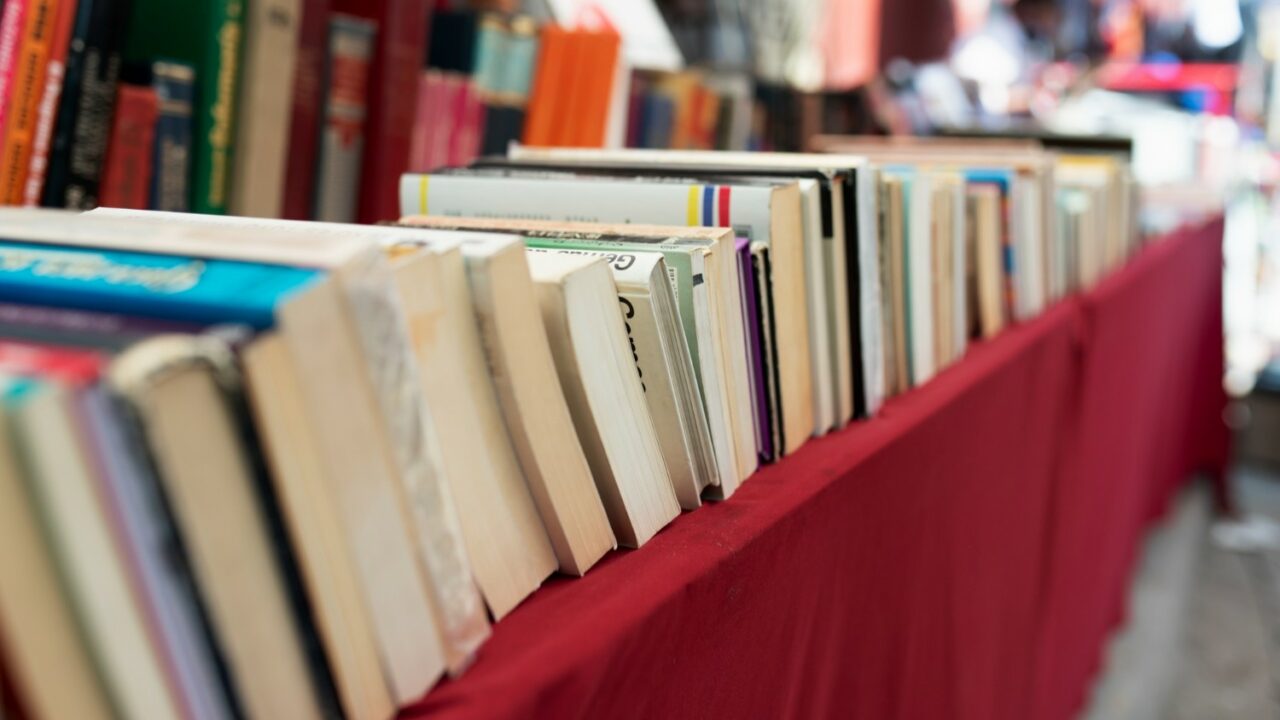 Leioa pone a la venta más de 2.000 libros por 2 euros en su Feria del Libro Solidario