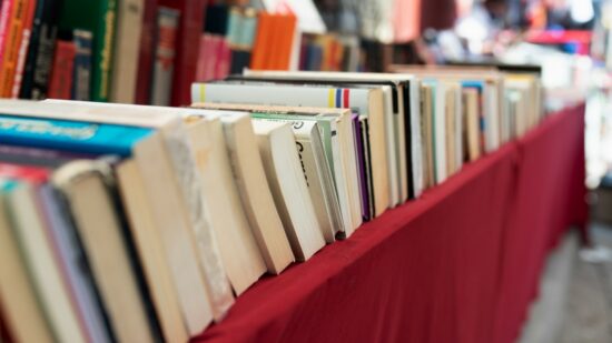 Leioa pone a la venta más de 2.000 libros por 2 euros en su Feria del Libro Solidario