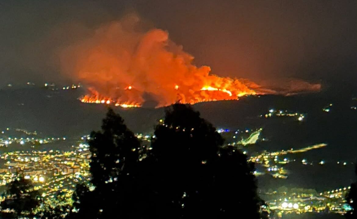 El gran incendio de Mantuliz reabre el debate sobre el plumero de la Pampa