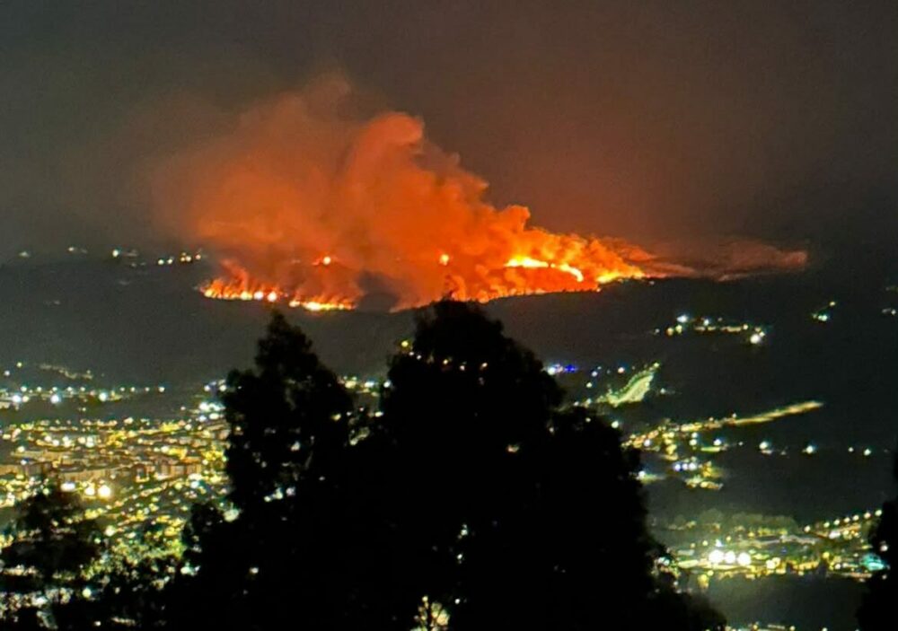 El gran incendio de Mantuliz reabre el debate sobre el plumero de la Pampa