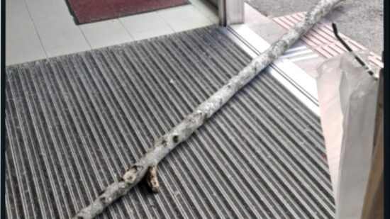 Agresión a trabajadores de Bilbao Kirolak: dos jóvenes lanzan un tronco en el polideportivo de Atxuri