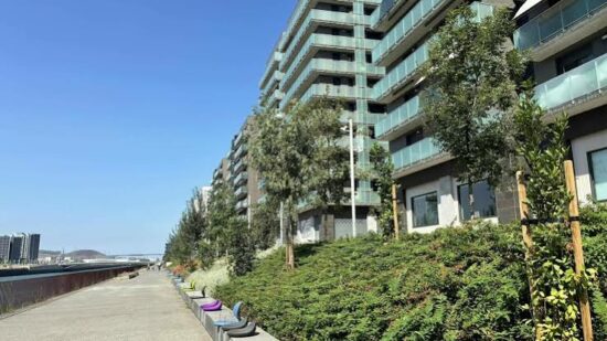 Bilbao invierte más de 600.000 euros en renovar la jardinería del Paseo del Canal