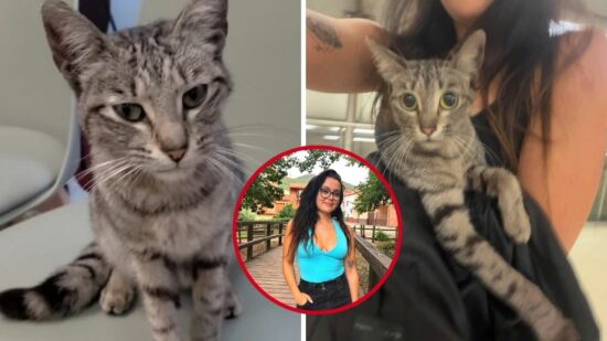Final feliz para Mika: la gatita atrapada durante una semana en Metro Bilbao