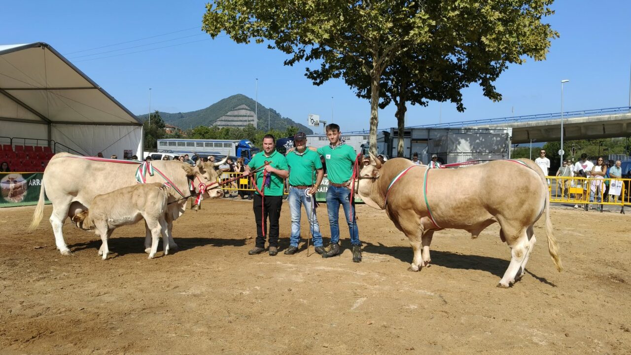 Jon Koldo Bikandi arrasa en el concurso de raza pirenaica del Primer Lunes de Octubre de Gernika