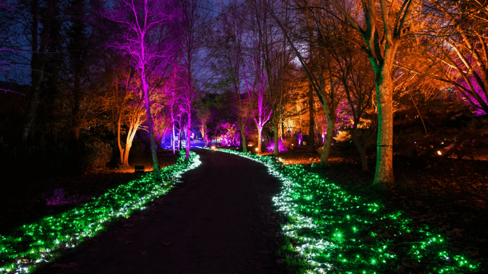 El Parque de la Navidad a un paso de Bilbao: esta localidad acogerá un mundo de luces e ilusión