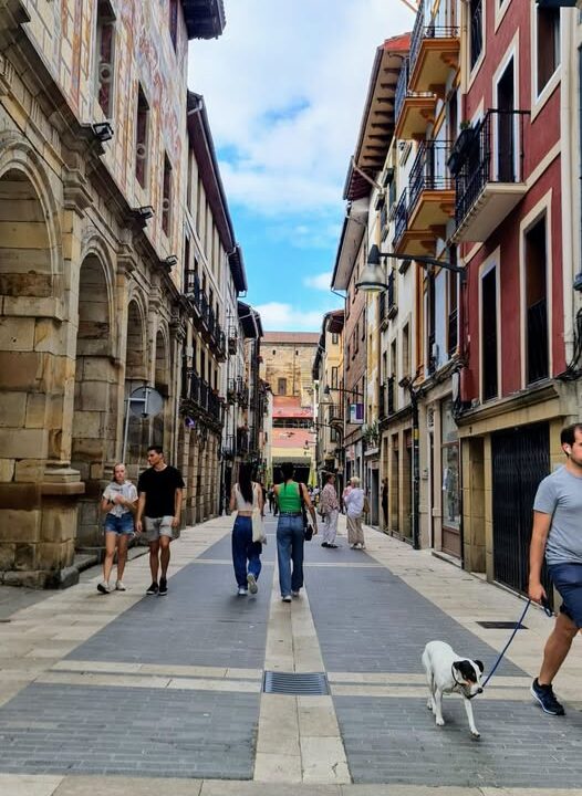 Durango busca viviendas vacías: así será la encuesta del Gobierno Vasco que comienza este mes