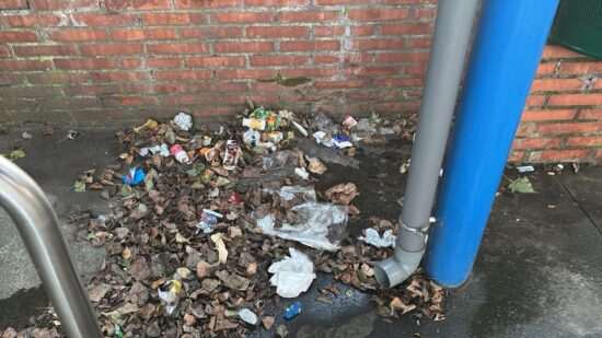 Cucarachas, malos olores y aulas sin limpiar por la huelga de limpieza en una haurreskola de Bilbao